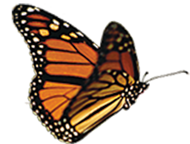 D0V43F72vrtiEypZY98O2kHrSuGQ3sYKBh4bUtX3